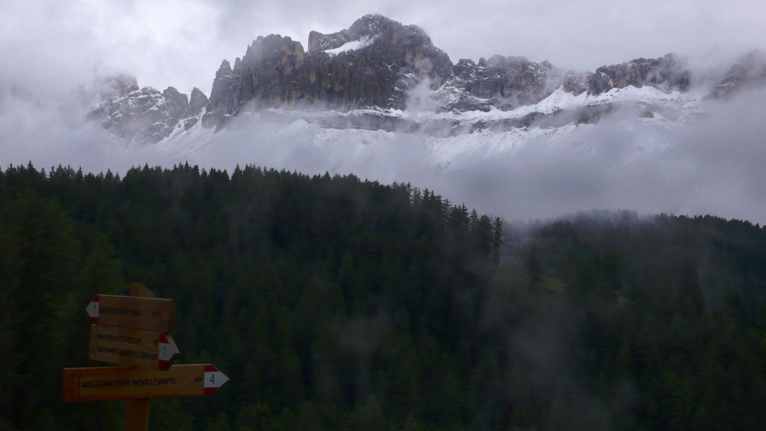 Rosengarten 04.jpg
